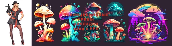 гашик Алексин