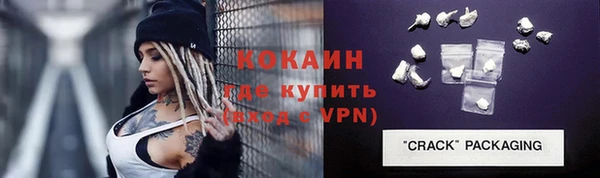 гашик Алексин
