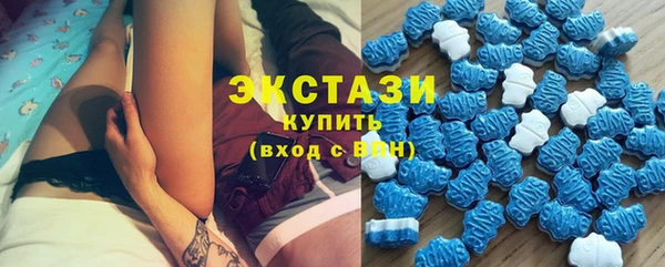 гашик Алексин