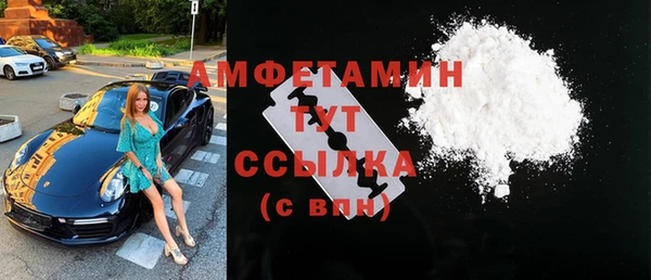 гашик Алексин
